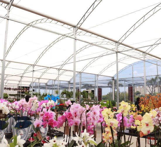 Garden Center e Eventos